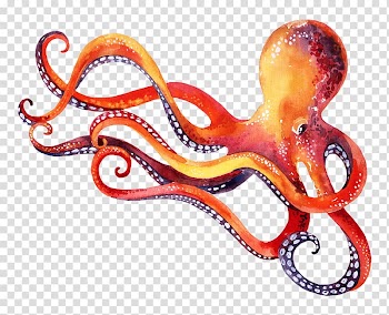 Octopus Marine invertebrates Cephalopod Animal, others transparent background PNG clipart
