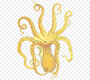 octopus octopus marine invertebrates giant pacific octopus