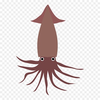 Octopus Squid Seafood Fish Illustration - squids 
