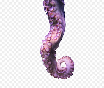 Octopus Tentacle Drawing - octapus 
