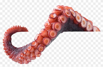 Octopus Tentacles Png Photo - Tentacles Png, Transparent Png ...