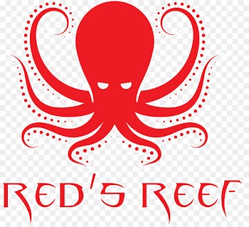Octopus Wall decal Sticker Mural - octopus green 