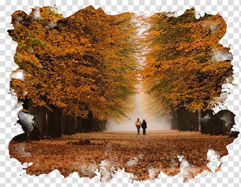 Çocuksun Sen Autumn , Richard Gere transparent background PNG clipart