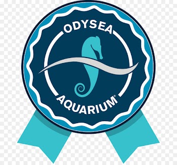 OdySea Aquarium Maricopa County Library Clip art OdySea in the Desert Logo - aquariam badge 