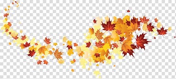 Of maple leaves, Autumn leaf color, autumn leaves transparent background PNG clipart