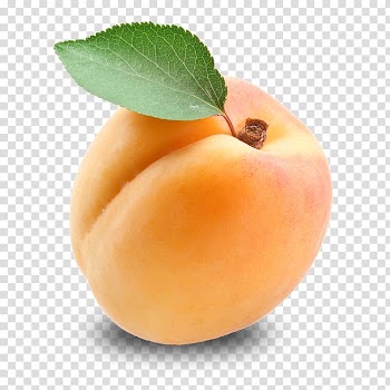 Of peach fruit screenshot, Apricot Fruit, Apricot Free transparent background PNG clipart