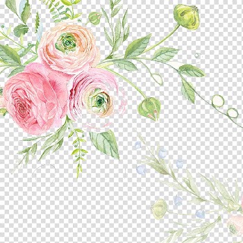 Of pink petaled flowers in bloom, Wedding invitation Watercolor painting Drawing Flower , rose transparent background PNG clipart