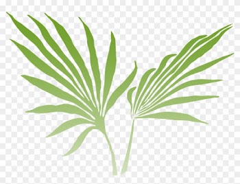 Of The Lush Rainforest And Offers Stunning Views From - Palm Frond Clip Art