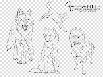Off white line arts, four wolves sketch transparent background PNG clipart