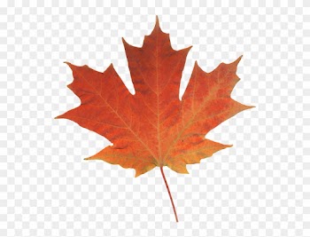 Offices Across Western Canada - Fall Leaf