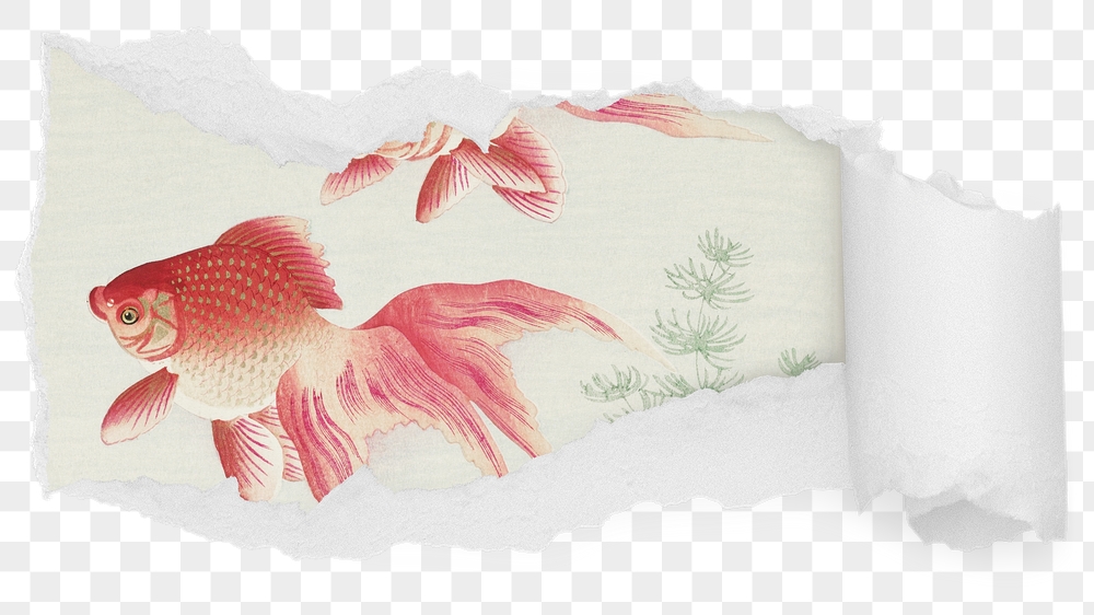 Ohara Koson png goldfish ripped | Free PNG - rawpixel