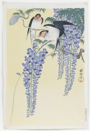 Ohara Koson's Swallows and Wisteria | Free Photo - rawpixel