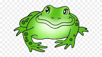 Ohio State Frog - Food Chain