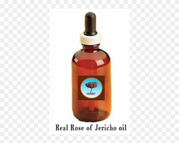 Oil Clipart Baptism Oil - Rose Of Jericho
