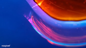 Oil drops floating on water colorful background | Free  photo - 2321938