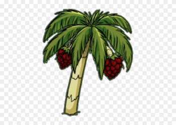 Oil Fruit - Oil Palm Tree Clipart
