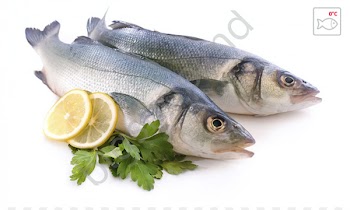 Oily fish Seafood Eating - fish 