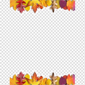 Ojo travieso Maple leaf Autumn Leaves, Leaf transparent background PNG clipart