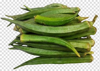 Okra Vegetarian cuisine Vegetable Luffa, vegetable transparent background PNG clipart
