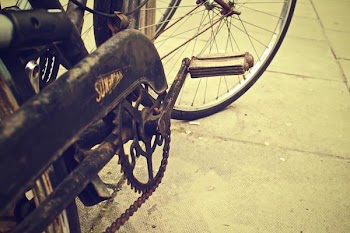          Old Bicycle Free Photo     