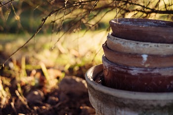 Old clay flower pots