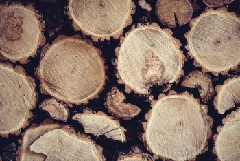 Old cottage wood pile