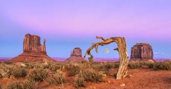 Old friends at Monument Valley