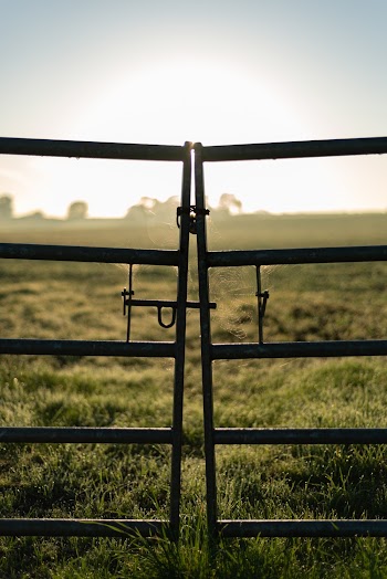 Old Gray Metal Gate On Lush Grass Field