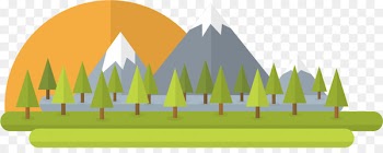 Old-growth forest Tree - Forests 