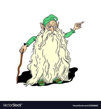 Old leprechaun vector image