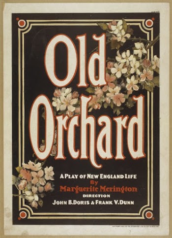 Old orchard a play of New | Free Photo - rawpixel