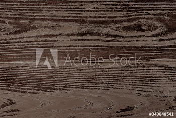 Old reclaimed wood plank