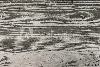 Old reclaimed wood plank