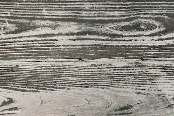 Old reclaimed wood plank | Free stock vector - 589071
