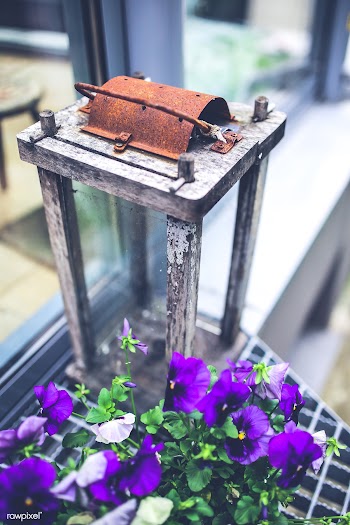 Old rustic lantern. Visit Kaboompics for more.. | Free stock photo - 436054