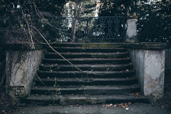 Old stairs in the park