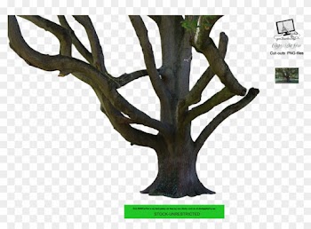 Old Tree By Jean52 - Tree