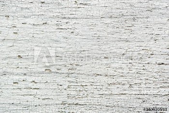 Old white wood plank