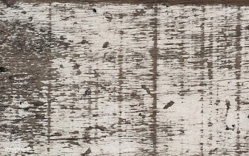 Old white wooden floor planks | Free stock vector - 525343