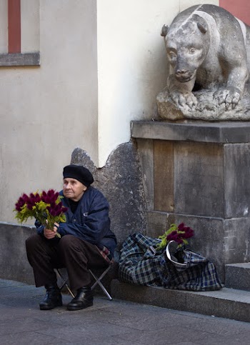 Old Woman Sitting on the Corner