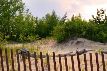 Old wooden fence on a beach.