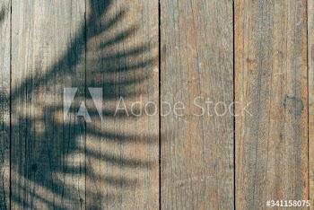 Old wooden floor background