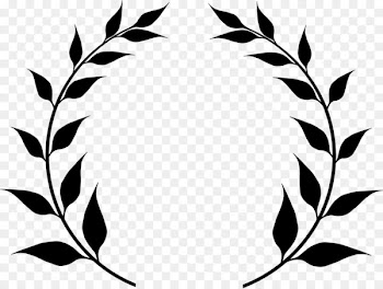 Olive branch Clip art - olive leaf 