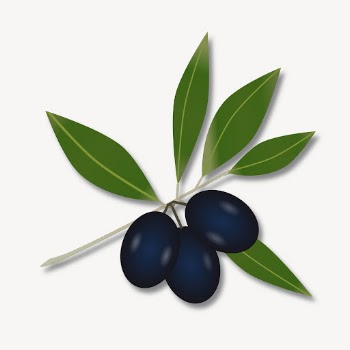 Olive branch clipart, collage element | Free PSD - rawpixel