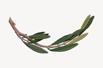 Olive branch clipart, plant illustration | Free PSD - rawpixel