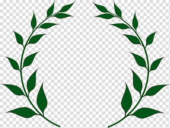 Olive branch Laurel wreath , olive transparent background PNG clipart