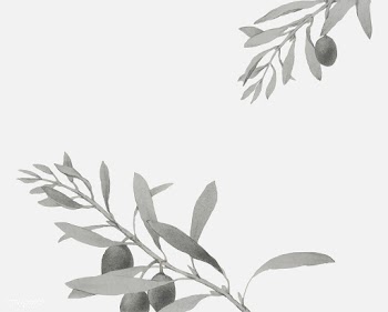 Olive branch on a Christmas card | Free stock vector - 556910