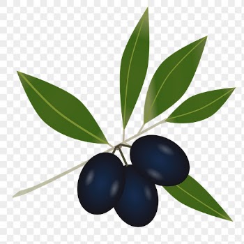 Olive branch png sticker, transparent | Free PNG - rawpixel