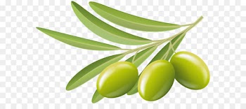Olive Clip art - Green Olives Transparent Clip Art Image 