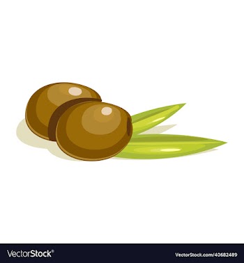 olive fruit